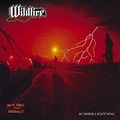 WILDFIRE / Brute Force and Ignorance + Summer Lightning (2CD/}X^[/2020 reissue) []