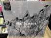 JAPANESE BAND/Gallhammer / The End (LP) 初LP化