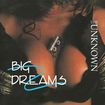 /THE UNKNOWN / Big Dreams (2023 reissue) USメロハー/Hair Metal激レア盤！