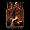 HEAVY METAL/CASTLE BLAK / No Bed of Roses (80's Glam Metalバンドのレア作、限定400枚！)