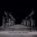 BLUT AUS NORD/BLOODLINE/REVERENCE/KARRAS / wDissociated Human Junctionx(split) []