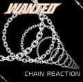 WANTED / Chain Reaction (2024 reissue) FIREHOUSE̐VVo.ݐЂ1stI []