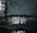 STRAIGHTHATE / Indigenous (digi) []