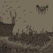 /TSORER / Return to Sodom