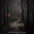 WINDTRIUMPH / Tirtamarthd  Resonance of Elemental (digi) []