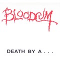BLOODCUM / The clothes hanger chronicles- Complete Recordings *gEA̒IɃItBVĔI []