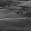 JAPANESE BAND/No Point in Living / Desert 