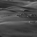 No Point in Living / Desert  []