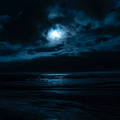 No Point in Living / Secrets In The Darkness []
