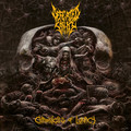 DEFEATED SANITY / Chronicles Of Lunacy  []