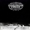 /CARPATHIAN FOREST / Black Shining Leather (digi)