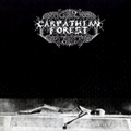 CARPATHIAN FOREST / Black Shining Leather (digi) []