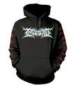 /INGESTED / THE TIDE OF DEATH AND FRACTURED DREAMS Hoodieパーカー（L)