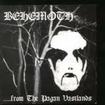 /BEHEMOTH / ...From the Pagan Vastlands