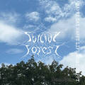 Suicide Forest / HAPPY DAY HAPPY LIFE MORE HAPPY (DEMO) []