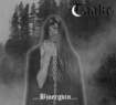 /TAAKE /...Bjoergvin