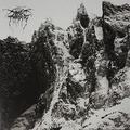 DARKTHRONE / Total death  []