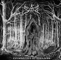 SAD / Enlightened by Darkness []