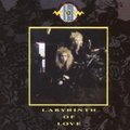 BLONDE ON BLONDE / Labyrinth of Love []