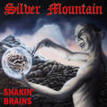 SILVER MOUNTAIN / Shakin Brains (2025 reissue/digi) []