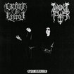 /CACHOT d'EFFROI/WOLFTOWER / 『Split MMXXIV』（split)
