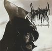 JAPANESE BAND/DISCONFORMITY / Inerrancy From Credulity