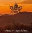 /STORMHEIT / Caelic Weold Finnum (2024 reissue)