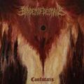 Burden of Despair / ߐ_ -Confutatis- yTz []