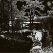 /POSSESSION OF THE POLAR SHAMAN / Possession of the Polar Shaman