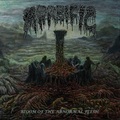 MORBIFIC / Bloom of the Abnormal Flesh (NEW!) []