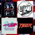 V.A. / Rare Hair Metal America Vol.1 (collectors CD)  []
