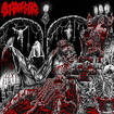 /ALTAR OF GORE / Litanies of the Unceasing Agonies