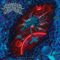 LABYTINTHUS STELLARUM / Rift in Reality (digibook) []