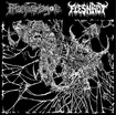 /PHANTASMAGORE/FLESHROT / 『Twisted Visions of Abominations』（split)