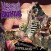 JAPANESE BAND/HEPATITIS BATHTUB / A Mountain Of Expulsion EP 