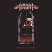 HEAVY METAL/HAUNT / Windows