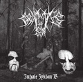 ORNAMENTS OF SIN / Inhale Zyklon-B  (digi/2025 reissue) []