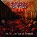 OMINOVS / Paradise of Human Remains []