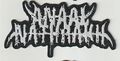 ANAAL NATHRAKH / Logo Shaped (SP) []