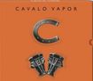 /CAVALO VAPOR / Cavalo Vapor (slip)