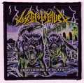 TOXIC HOLOCAUST / An Overdose Of Death (SP) []