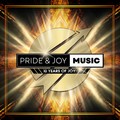 V.A. / Pride & Joy Music�F10 Years Of Joy (����500���I) []