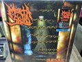 MORTA SKULD / Surface (LP/Orange Splatter)�@7���Ԃ̂ݔ̔� []
