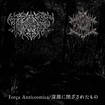 JAPANESE BAND/TENEBROSO / ETERNAL ICE / 『Força Anticosmica/深淵に閉ざされたもの』（split)