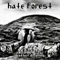 HATE FOREST / Dead but Dreaming(���ʌ���v���C�X�j []