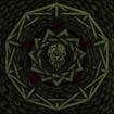 /MITOCHONDRION / Parasignosis