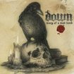 THRASH METAL/DOWN / Diary Of A Mad Band (2CD+DVD)