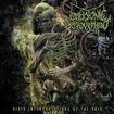 /EMBRYONIC DEVOURMENT / Vivid Interpretations Of The Void (digi)