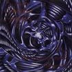 /FUNERIS NOCTURNUM / From The Aspect Of Darkly Illuminated