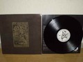 THE TRUE FROST / In Eternal Strife (LP) []
